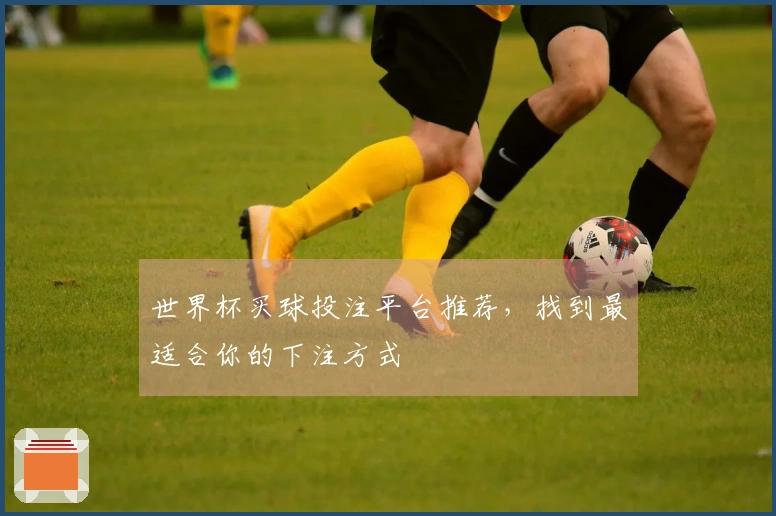 世界杯买球投注平台推荐，找到最适合你的下注方式
