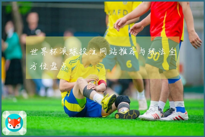世界杯滚球投注网站推荐与玩法全方位盘点