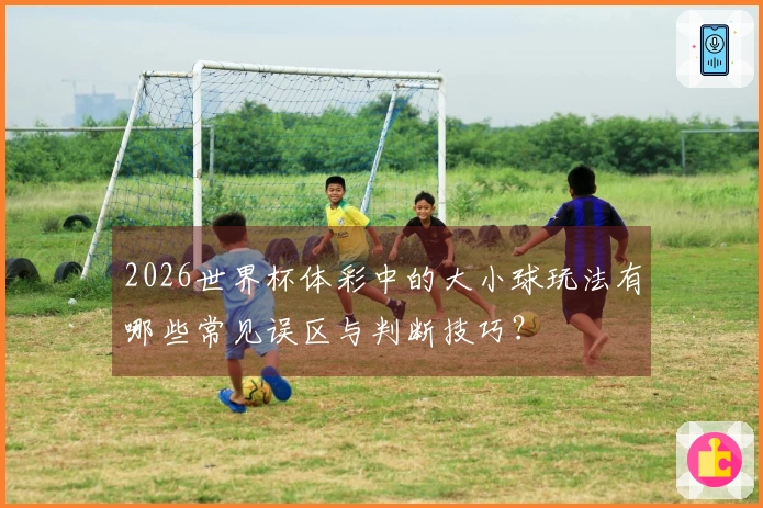 2026世界杯体彩中的大小球玩法有哪些常见误区与判断技巧？