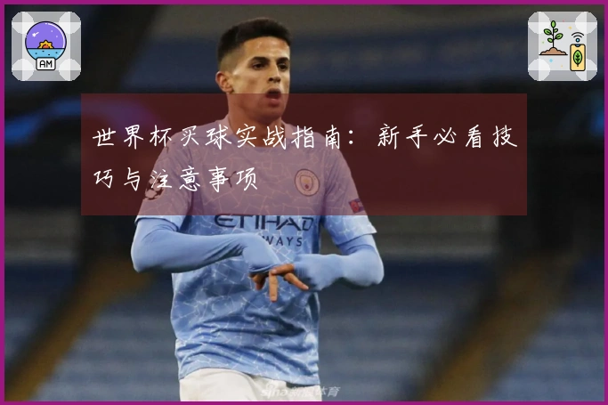 世界杯买球实战指南：新手必看技巧与注意事项