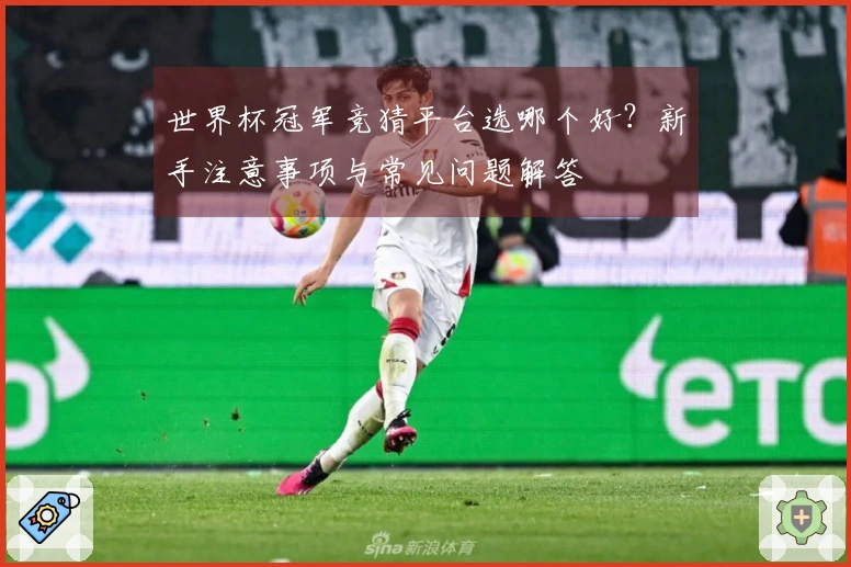 世界杯冠军竞猜平台选哪个好？新手注意事项与常见问题解答