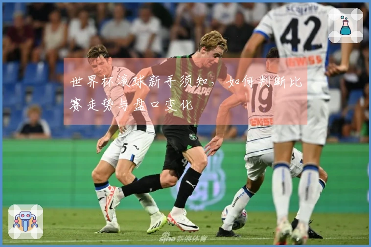 世界杯滚球新手须知，如何判断比赛走势与盘口变化