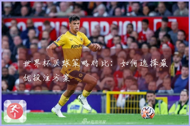 世界杯买球策略对比：如何选择最优投注方案