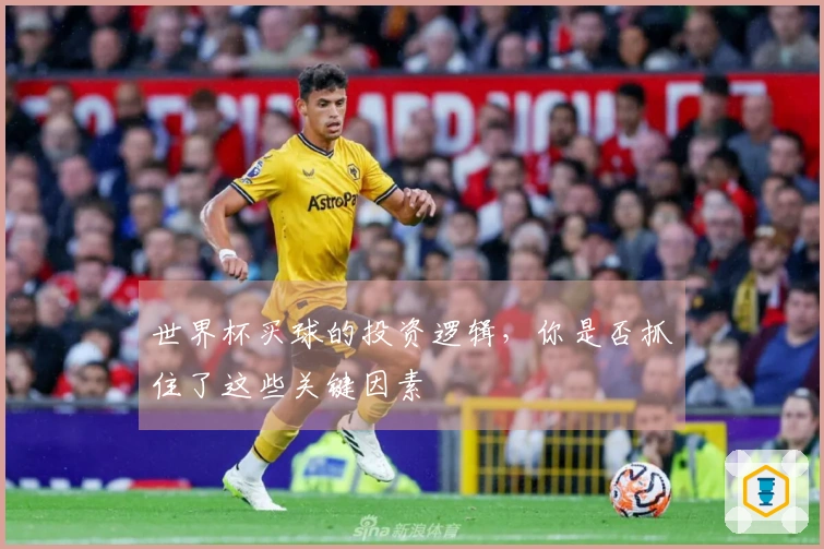 世界杯买球的投资逻辑，你是否抓住了这些关键因素