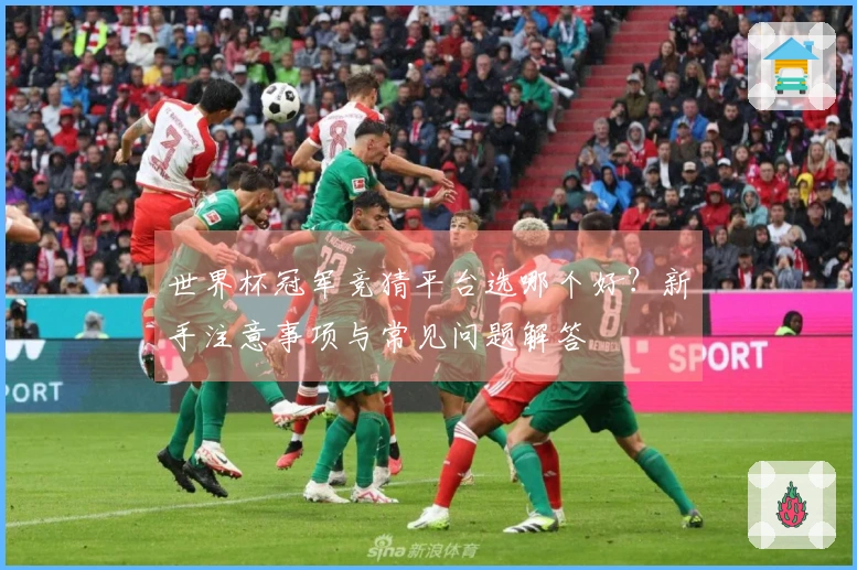 世界杯冠军竞猜平台选哪个好？新手注意事项与常见问题解答